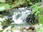 06080284 copie
