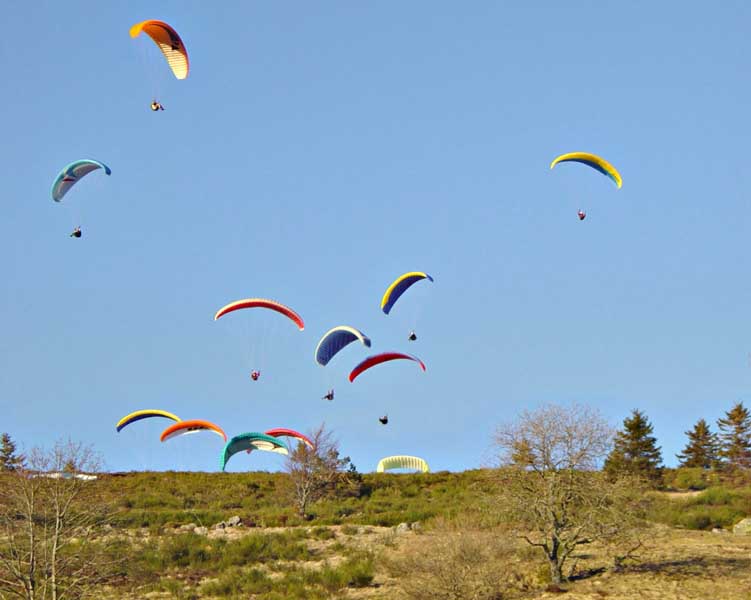 5_DSC01933
