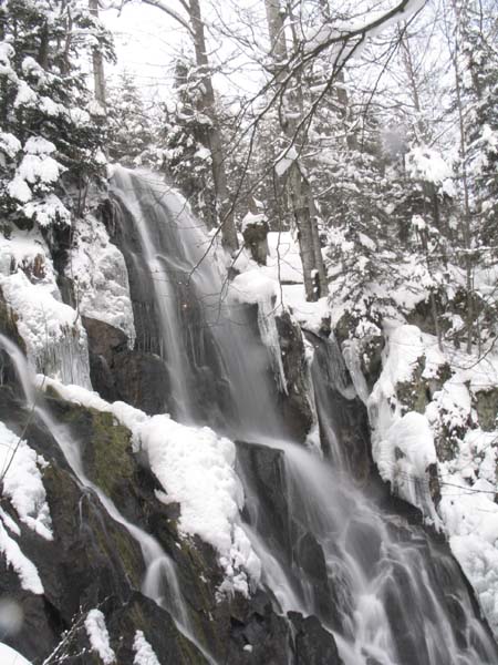 20050220_042