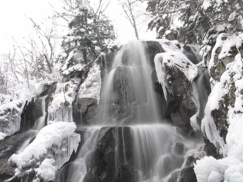 20050220_043