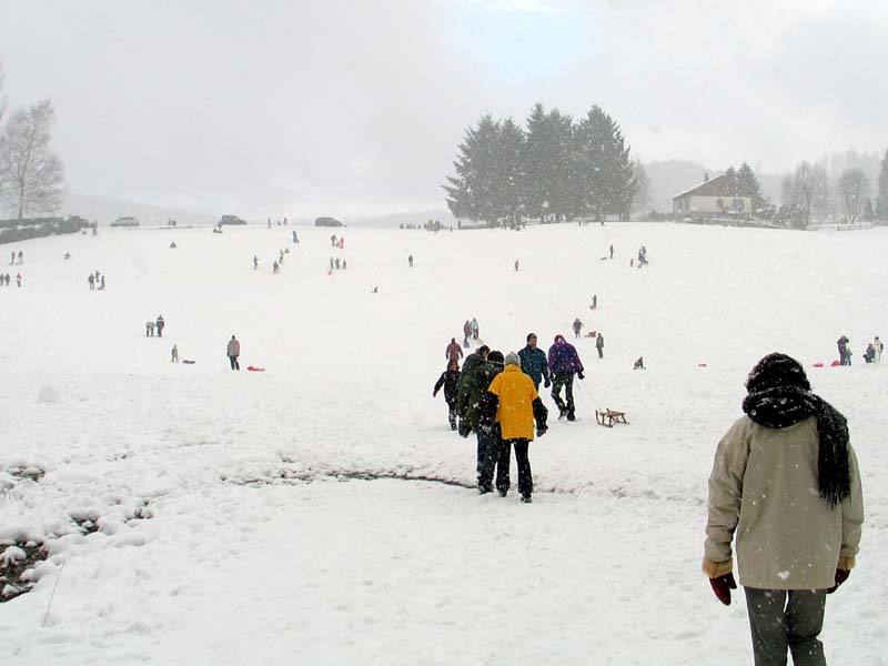 20050220_055