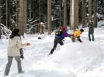 20050220_007