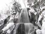 20050220_043