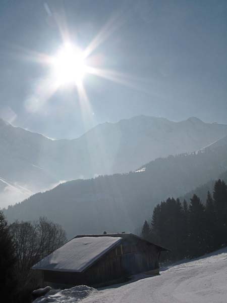 20050312_090023